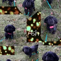 processed/4d849cd5-ea8b-4813-a7bb-eb7d85e5b62e/facility/d6320877-d0cf-48a0-a4a3-7bf937c9333b