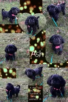 processed/4d849cd5-ea8b-4813-a7bb-eb7d85e5b62e/facility/d6320877-d0cf-48a0-a4a3-7bf937c9333b