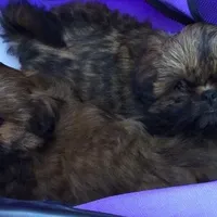 processed/4d849cd5-ea8b-4813-a7bb-eb7d85e5b62e/facility/d734ca3c-990c-4bed-8457-94cd6e182690