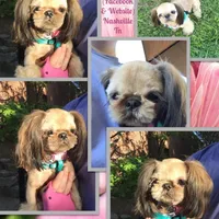 processed/4d849cd5-ea8b-4813-a7bb-eb7d85e5b62e/facility/f6fc0764-e77a-4b5f-83a0-e41a260297ae