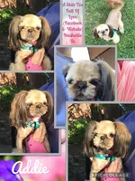 processed/4d849cd5-ea8b-4813-a7bb-eb7d85e5b62e/facility/f6fc0764-e77a-4b5f-83a0-e41a260297ae