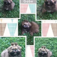 processed/4d849cd5-ea8b-4813-a7bb-eb7d85e5b62e/facility/fcf31b06-3327-45b6-ac55-cf3a5e94030e