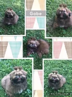 processed/4d849cd5-ea8b-4813-a7bb-eb7d85e5b62e/facility/fcf31b06-3327-45b6-ac55-cf3a5e94030e