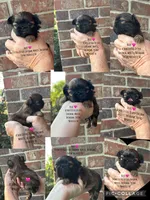 Handsome little Graham 💙 VIDEO IN AD , a male Shih Tzu for sale in Nashville, TN – 5 of 5