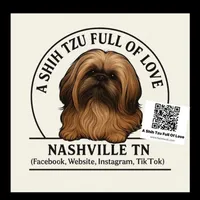 ** Tiny Princess Mila ** Stunning Little Girl!! Videos in ad :), a female Shih Tzu for sale in Nashville, TN – 2 of 9