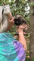 ** Princess Mila **, a female Shih Tzu for sale in Nashville, TN – Photo 1 of 3