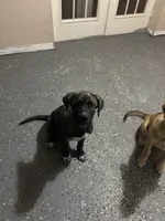 processed/4d8c2ecb-7d8a-4e49-99ab-a9127d04e828/facility/21c85fce-55d4-44fa-9a49-0475c986e313