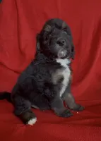 processed/4d8e2aa3-2512-45c2-8fbc-9fdbdc85f5a2/listing/a5b287e4-a2c2-43ac-bd79-dbbbee7f6675/cd11b9ec-d3c4-4cd0-af47-e22a6946e2f2