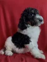 processed/4d8e2aa3-2512-45c2-8fbc-9fdbdc85f5a2/listing/a772b4ed-2865-4ecc-97ef-4fa9b3734e3a/875125b0-9a46-46dc-bdd9-315c03ed8bfd