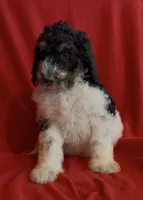 processed/4d8e2aa3-2512-45c2-8fbc-9fdbdc85f5a2/listing/a772b4ed-2865-4ecc-97ef-4fa9b3734e3a/f9212bd0-0fc4-4f30-8913-c102c61b839c