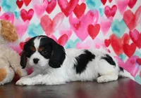 processed/4d9a607d-bf38-4a09-b339-c19ce1c98f04/listing/be6fb741-a00f-4ee9-bbbc-ec9dea4176be/2ee3a8bd-9dd5-4216-8253-373fe8b89663