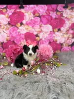 processed/4d9af8c7-106f-417a-9e3f-2529f2d8f499/listing/27a108b8-85c3-4653-995a-c957ec64a2b2/581fdb8a-d118-4da4-bb84-e51d9c24beb3