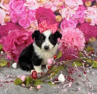 processed/4d9af8c7-106f-417a-9e3f-2529f2d8f499/listing/27a108b8-85c3-4653-995a-c957ec64a2b2/765d5aa9-b5c0-4498-8822-c941f90c98af