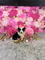 processed/4d9af8c7-106f-417a-9e3f-2529f2d8f499/listing/27a108b8-85c3-4653-995a-c957ec64a2b2/d36485bd-4e0d-4256-b455-30c894353a2b