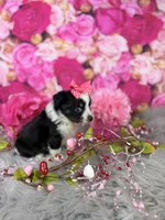 processed/4d9af8c7-106f-417a-9e3f-2529f2d8f499/listing/27a108b8-85c3-4653-995a-c957ec64a2b2/ed0ca828-d115-455c-af92-75466638b037