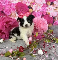 processed/4d9af8c7-106f-417a-9e3f-2529f2d8f499/listing/bf10f1d6-caca-444a-af64-c1dae98edbc4/094d47c0-8e71-45b8-a79a-2c4ad4d0725d