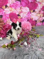 processed/4d9af8c7-106f-417a-9e3f-2529f2d8f499/listing/bf10f1d6-caca-444a-af64-c1dae98edbc4/40eb17d3-b56a-4374-bbf4-54c2fe93f5b3