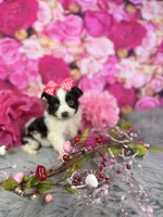 processed/4d9af8c7-106f-417a-9e3f-2529f2d8f499/listing/bf10f1d6-caca-444a-af64-c1dae98edbc4/9a304547-7ab5-4319-a00c-33ecf9fb977b