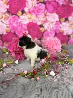 processed/4d9af8c7-106f-417a-9e3f-2529f2d8f499/listing/bf10f1d6-caca-444a-af64-c1dae98edbc4/c20e33fb-5d62-49a8-a5fd-f200adee27ce