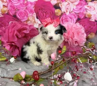 processed/4d9af8c7-106f-417a-9e3f-2529f2d8f499/listing/c618b032-2a78-44f3-87b0-74944fc41630/23f4c39f-5475-4f23-bec3-93c45fe19290