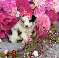 processed/4d9af8c7-106f-417a-9e3f-2529f2d8f499/listing/c618b032-2a78-44f3-87b0-74944fc41630/573a06c5-3caf-437b-94a4-09a412eb3ab2