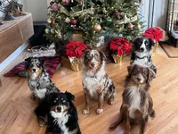 processed/4da6a4fc-5f1d-441f-ab37-9f3a804d53fb/facility/844a5f91-537b-49e7-889c-3c250f725b84