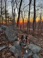 processed/4da6a4fc-5f1d-441f-ab37-9f3a804d53fb/facility/91c19635-9742-4023-9362-46854f7cdd5d