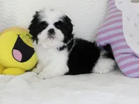 processed/4daf2662-d20b-40dd-a89a-545bb5eeff0b/listing/ab4d0916-5762-4309-8917-f6f9af92642c/1f863a3c-fda3-4048-8d6e-690c29c34b55