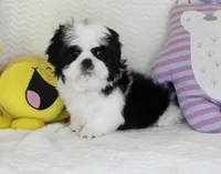 processed/4daf2662-d20b-40dd-a89a-545bb5eeff0b/listing/ab4d0916-5762-4309-8917-f6f9af92642c/68cc2c71-2069-47c4-ad31-313e109cc0a2