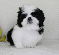 processed/4daf2662-d20b-40dd-a89a-545bb5eeff0b/listing/ab4d0916-5762-4309-8917-f6f9af92642c/6be0e619-39cb-4b00-827a-d6bfee89a4e7