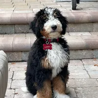 processed/4db689b9-8893-4727-acf9-9232534e546c/facility/2237db8d-7e6c-453f-825c-15388735d57d