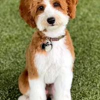 processed/4db689b9-8893-4727-acf9-9232534e546c/facility/4738d4f0-f435-4648-9e7d-af4903d34aa1