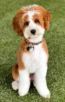 processed/4db689b9-8893-4727-acf9-9232534e546c/facility/4738d4f0-f435-4648-9e7d-af4903d34aa1