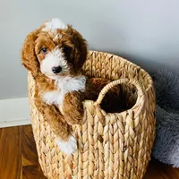 processed/4db689b9-8893-4727-acf9-9232534e546c/facility/ba081c6e-bbc2-4d79-9685-fbbf04c9f314