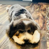 processed/4db689b9-8893-4727-acf9-9232534e546c/facility/ba545284-8c81-4f2d-b477-57e067712fff