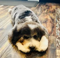 processed/4db689b9-8893-4727-acf9-9232534e546c/facility/ba545284-8c81-4f2d-b477-57e067712fff