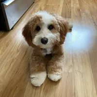 processed/4db689b9-8893-4727-acf9-9232534e546c/facility/d02a5f07-96e5-4b67-b425-d9d6d7a7a1ba