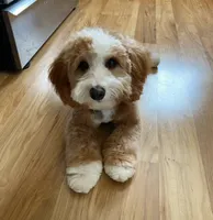 processed/4db689b9-8893-4727-acf9-9232534e546c/facility/d02a5f07-96e5-4b67-b425-d9d6d7a7a1ba