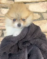 processed/4dbdf467-6348-46a3-a7e6-a9a8e0e0366c/facility/1050ae71-9c52-41e9-b148-ae332763023a