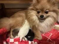 processed/4dbdf467-6348-46a3-a7e6-a9a8e0e0366c/facility/526f327f-3f58-4210-9c10-e986ac140218