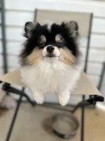 processed/4dbdf467-6348-46a3-a7e6-a9a8e0e0366c/facility/58fc83fa-b37d-44e1-b6ae-10fa2dd3e92d