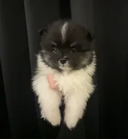 processed/4dbdf467-6348-46a3-a7e6-a9a8e0e0366c/facility/9bc71d92-b2dc-4146-9b03-5cd8b27ca762