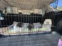 processed/4dbdf467-6348-46a3-a7e6-a9a8e0e0366c/facility/bb6183f6-025b-41b5-8ccb-6305b3ea1a88