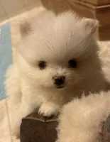 processed/4dbdf467-6348-46a3-a7e6-a9a8e0e0366c/facility/cb790d0e-4f14-4967-a48e-956a25f1a989