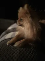 processed/4dbdf467-6348-46a3-a7e6-a9a8e0e0366c/facility/fa0d40db-4fdb-4267-97f3-c57c6b0e0eb4