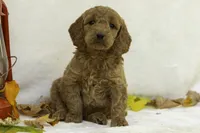 processed/4dbe5b0d-5662-4a60-8f5e-915aec178f2d/listing/41f2b57d-ae1c-4e07-8fdf-ada5c990bd91/19e17c87-b166-4b17-9bf8-c8a56bc967eb