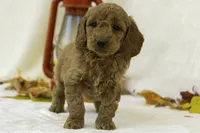 processed/4dbe5b0d-5662-4a60-8f5e-915aec178f2d/listing/41f2b57d-ae1c-4e07-8fdf-ada5c990bd91/5ba88b23-9f3d-45ff-9219-f3268118cd98