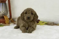 processed/4dbe5b0d-5662-4a60-8f5e-915aec178f2d/listing/41f2b57d-ae1c-4e07-8fdf-ada5c990bd91/cd56b5b1-fd1f-4538-8892-8f47ba420cbc