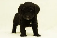 processed/4dbe5b0d-5662-4a60-8f5e-915aec178f2d/listing/d60b570d-b7ec-4b9d-a4b6-48926a44b4ba/254e0f96-a898-4106-91e8-46fde067f045