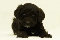 processed/4dbe5b0d-5662-4a60-8f5e-915aec178f2d/listing/d60b570d-b7ec-4b9d-a4b6-48926a44b4ba/e0af13c6-bc76-48ba-84ee-7c36d785eb9a